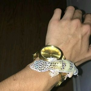 Meet your Posher, Lucas